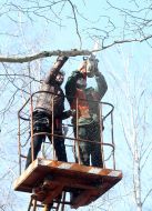 Игорь Сингер