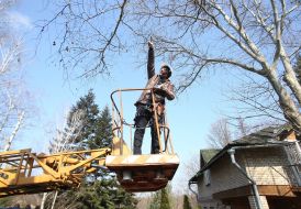 Игорь Сингер