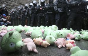Toy pigs near police officers