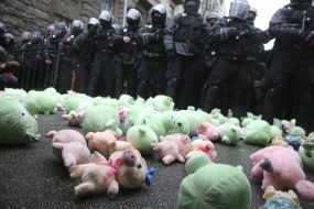 Toy pigs near police officers