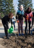 Марина Порошенко садить троянди