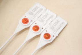 Plastic seals for ballot boxes