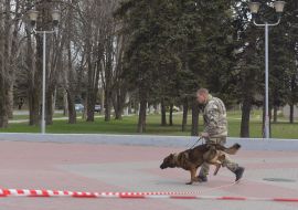 Dog cynologist near the building of Scientific Production Complex "Iskra"