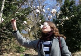 Девушка держит ветку цветущей магнолии