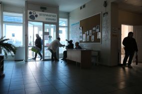 Vet clinic