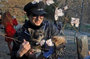 Девушка с двумя собаками