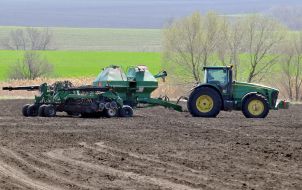 Трактор сеет нут