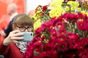 Дівчина фотографує квіти