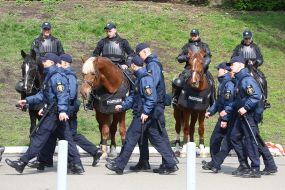 Militiamen keep order