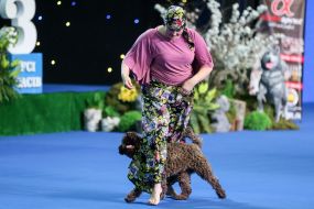 Exhibition of dogs of all breeds