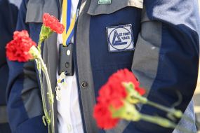 Carnations