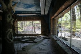 Reconstruction of the zoo