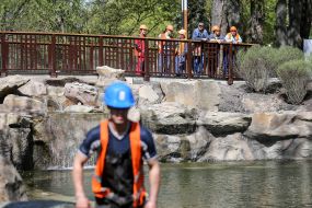 Реконструкция столичного зоопарка