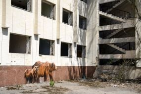 Полуразрушенный ДК "Энергетик" 