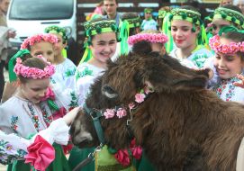 Народний художній колектив народного танцю