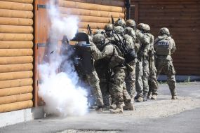 Показательные выступления пограничников