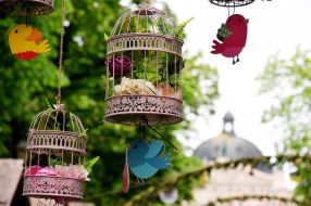 Декоративные клетки