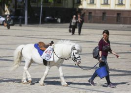 A girl with a white pony