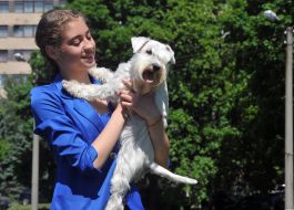 Международная выставка собак