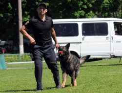 Международная выставка собак