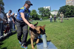 Международная выставка собак