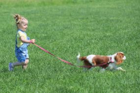 Dog Show "Cup of Chernigov"