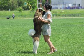 Dog Show "Cup of Chernigov"