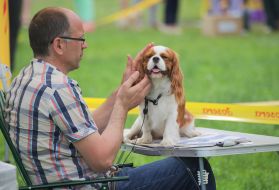 Dog Show "Cup of Chernigov"