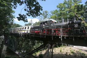 Train on the railway track