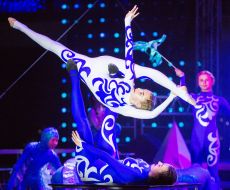 Performance of gymnasts