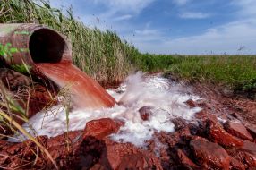 Place of dumping waste in Utluk estuary