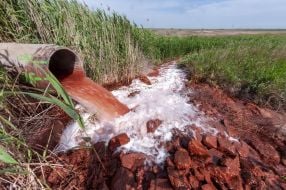 Place of dumping waste in Utluk estuary