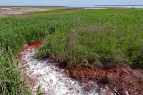 Place of dumping waste in Utluk estuary