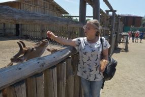 The woman feeds the deer