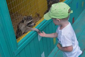 Enot communicates with the boy