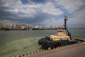 Algae on the territory of the Odessa port