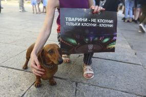 Participant of the rally for the circus without animals with her dog