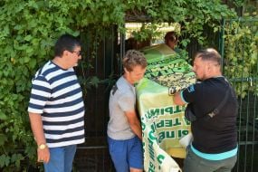 Сотрудники зоопарка переносят специальный ящик со львом