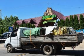 Специальные ящики со львами на грузовике