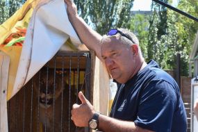 Сотрудник зоопарка у клетки со львом