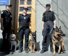 Law enforcers with shepherds