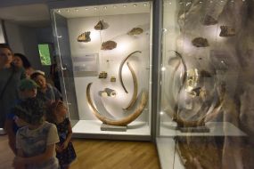The exhibition "Ice Age: The Return of Mamut to Lviv"