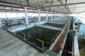 Очисна водопровідна станція