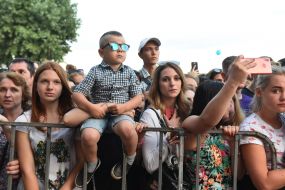 Spectators at the concert