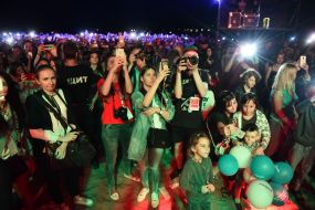 Spectators at the concert