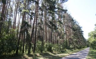 Road