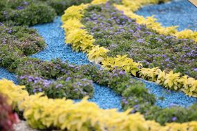 Выставка «Цветущая Эллада»