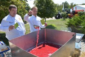 Напиток из экологически чистого кизила