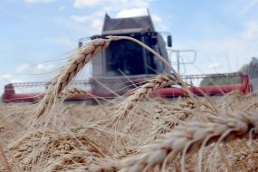 Harvesting