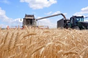 Harvesting